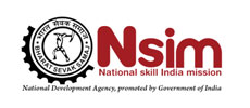 nsim
